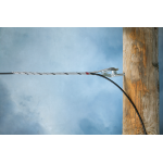 FIBERLIGN<sup>®</sup> ADSS Drop Cable Dead-end